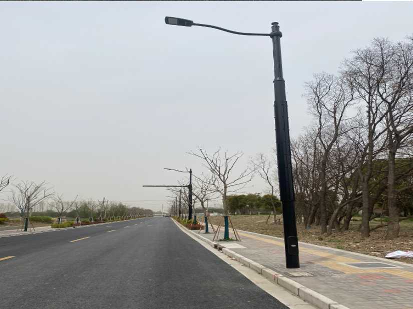 大竹县上海综合杆 太阳能路灯工程